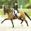 SPS Lady Laurin